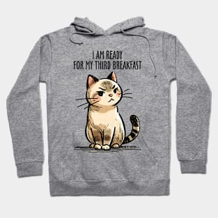 I'm Ready For My Third Breakfast Funny Cat Hoodie